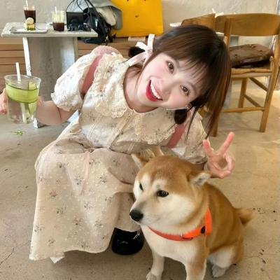 表象下的真相
